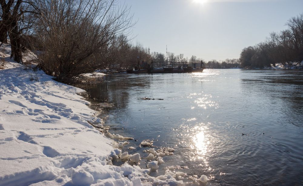 Фотография автора Алла Антонова