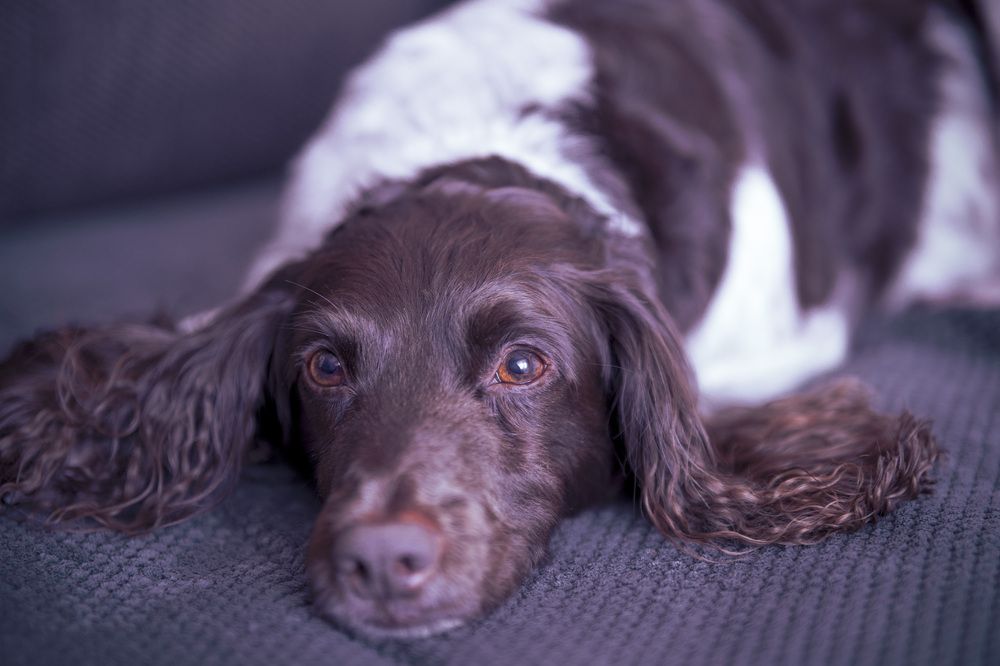 Photograph by JEVGENIJS TRETJAKOVS