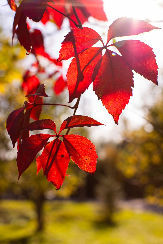 Photograph by Анастасия Сошенкова