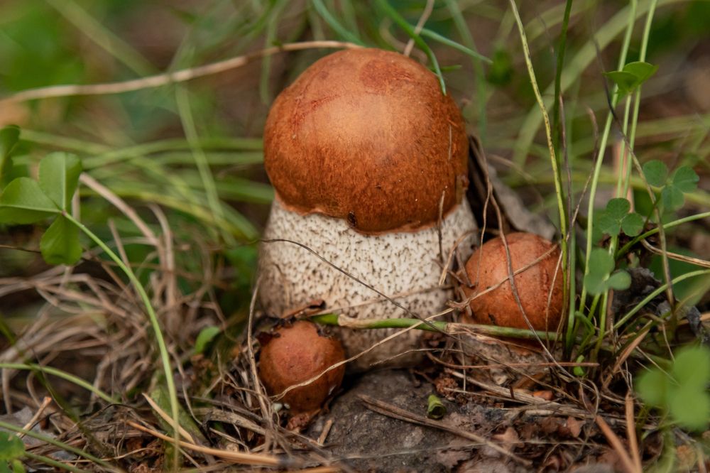 Photograph by Антонина Кузнецова