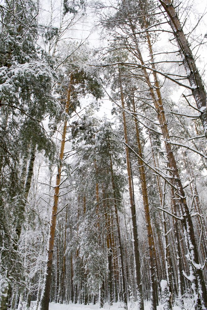 Photograph by Елизавета Большакова