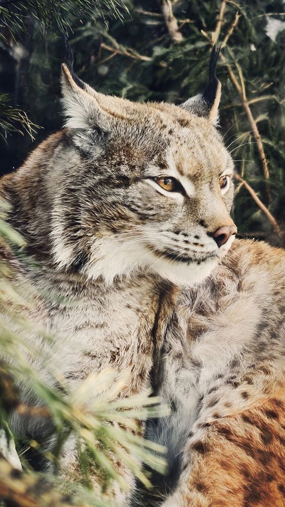 Photograph by Елена Кадаева