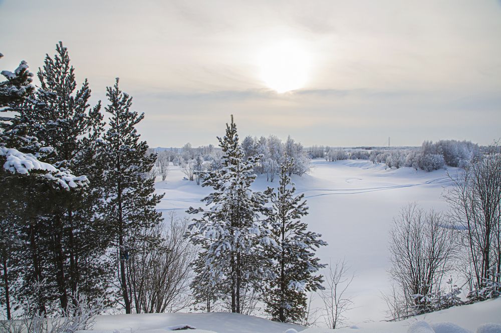Фотография автора Елена Разина