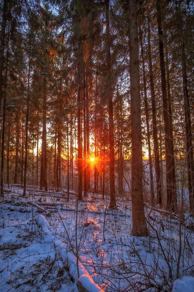 Закат в парке.