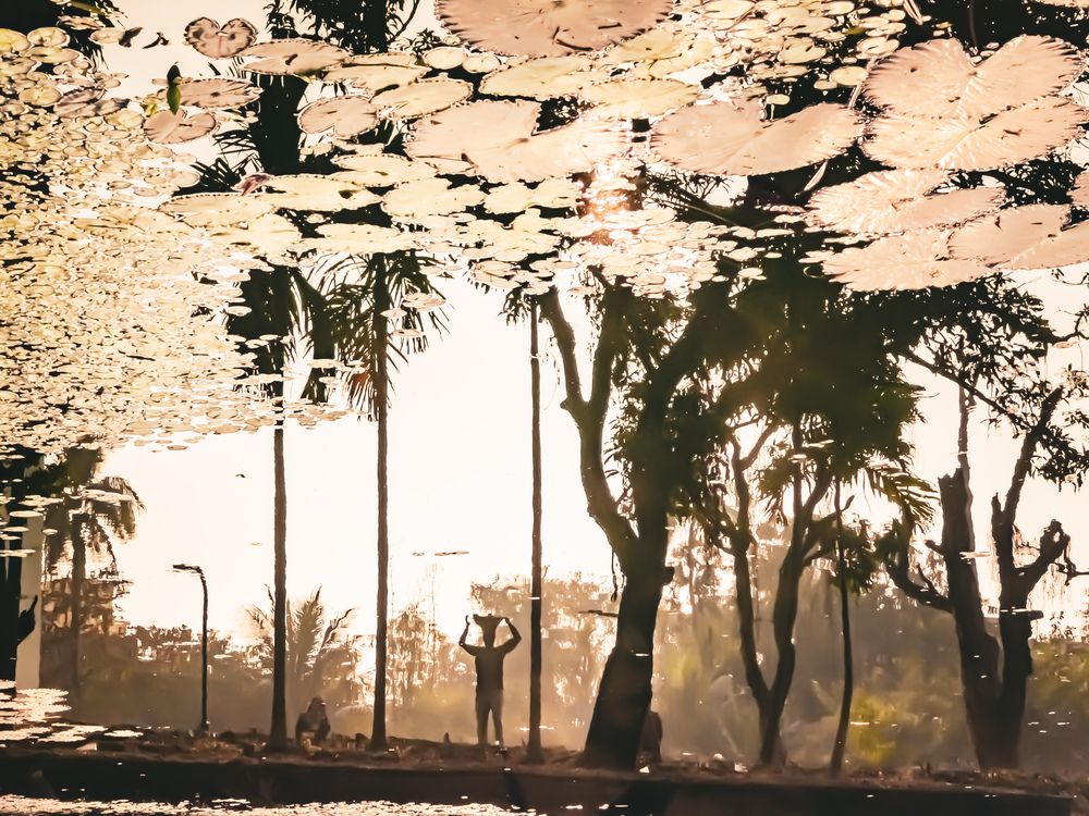 Photograph by Pritam Majumder