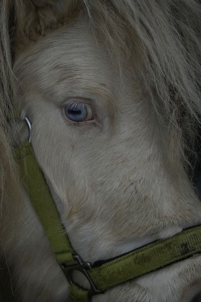 Photograph by Nodar Tvauri