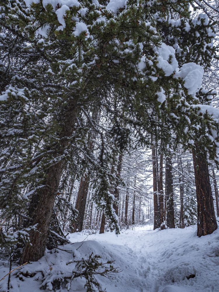 Photograph by Надежда Михайлина