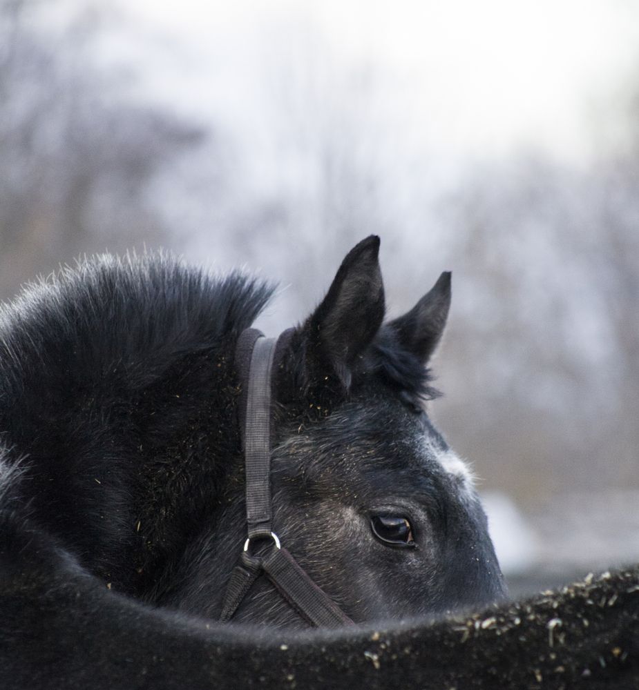 Фотография автора Маргарита