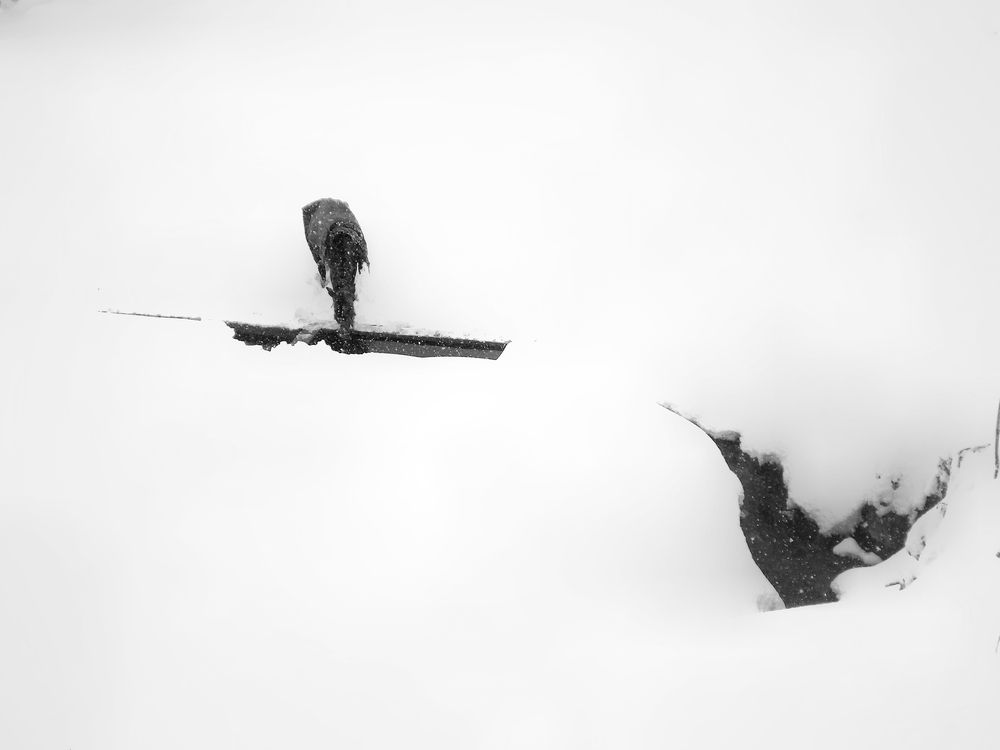 Photo #11819843