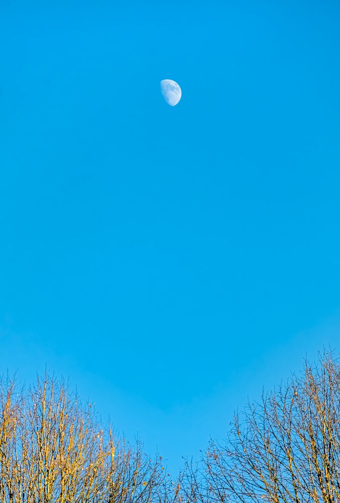 The soul's voice - op.10235678090