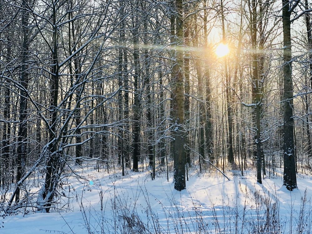 Photograph by Анастасия Денисенко