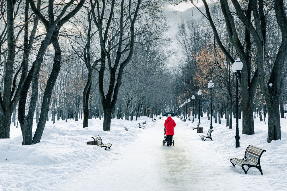 Фотография автора Вячеслав Коробов