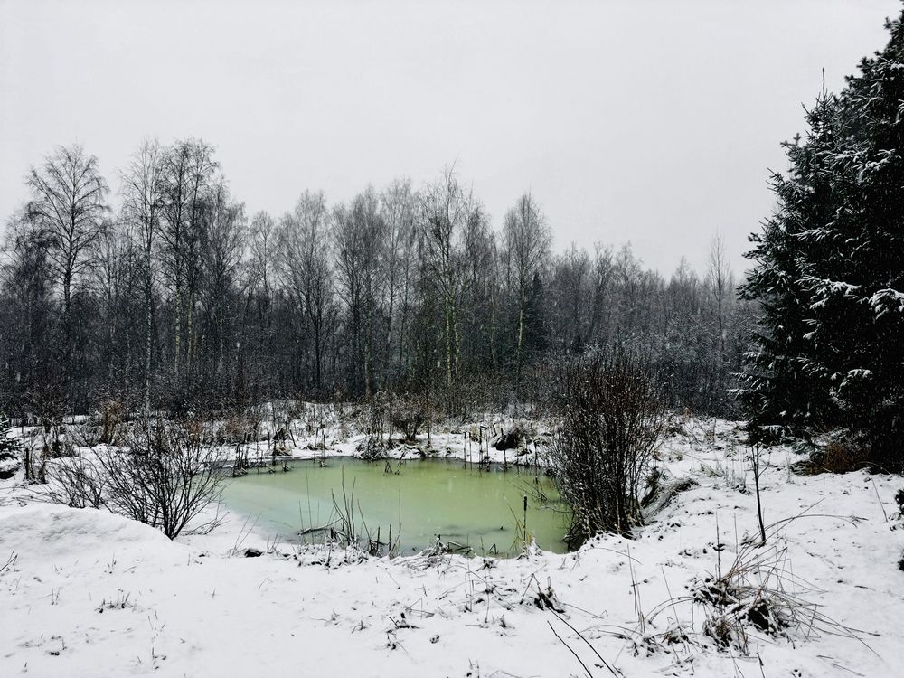 Photograph by Елена Маркова