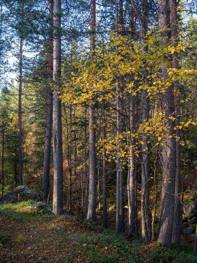 Photograph by Шейко Анна