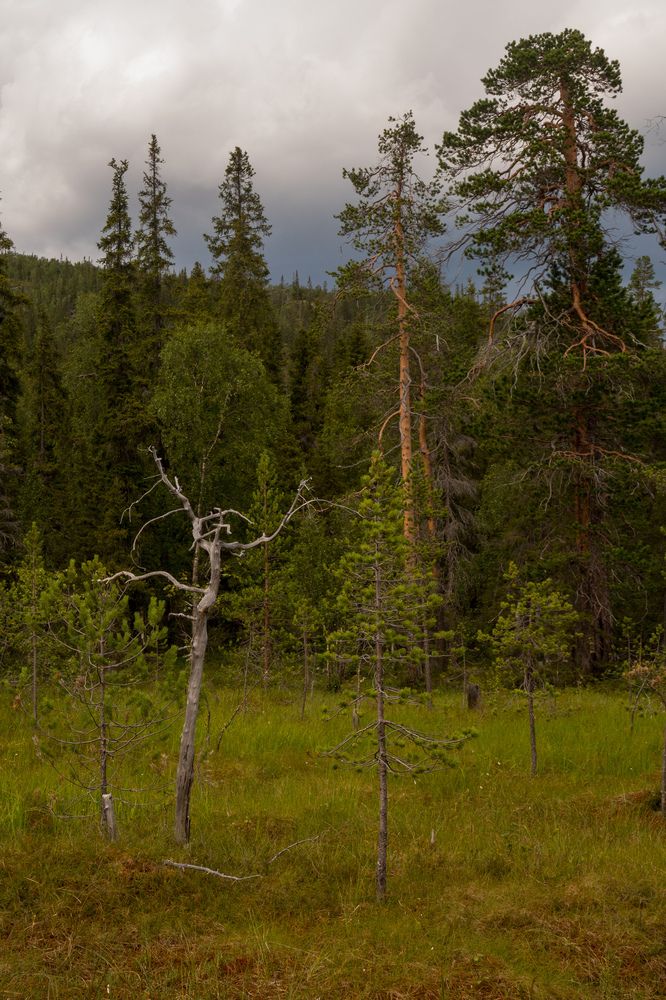 Photograph by Шейко Анна