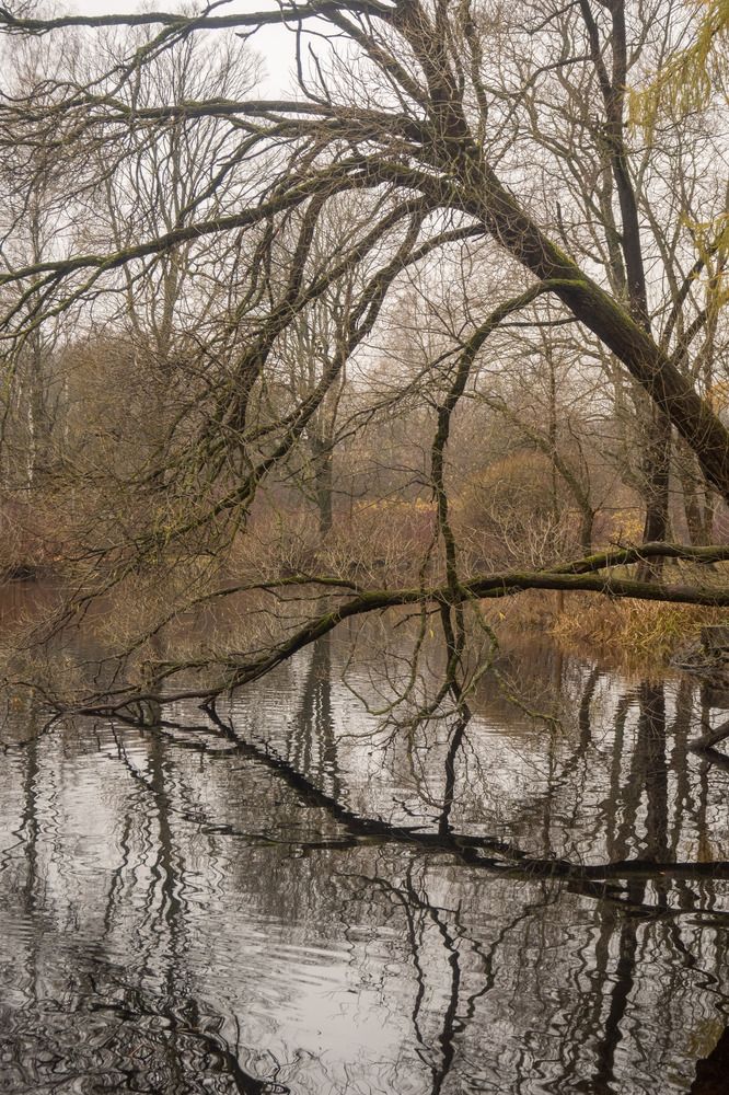 Photograph by Шейко Анна