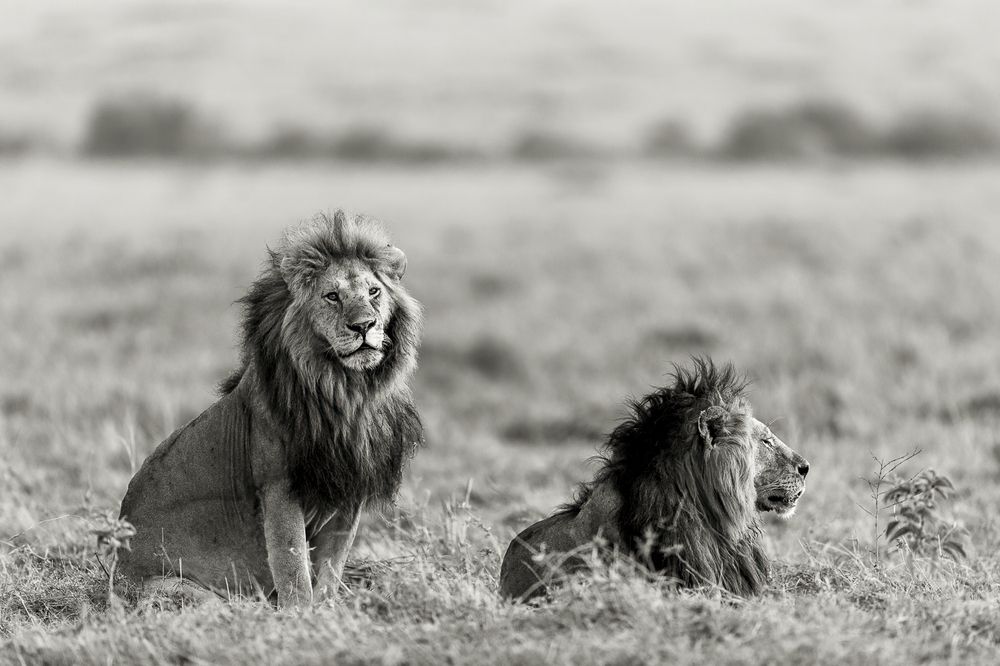 Photograph by Pothanis Sudhir