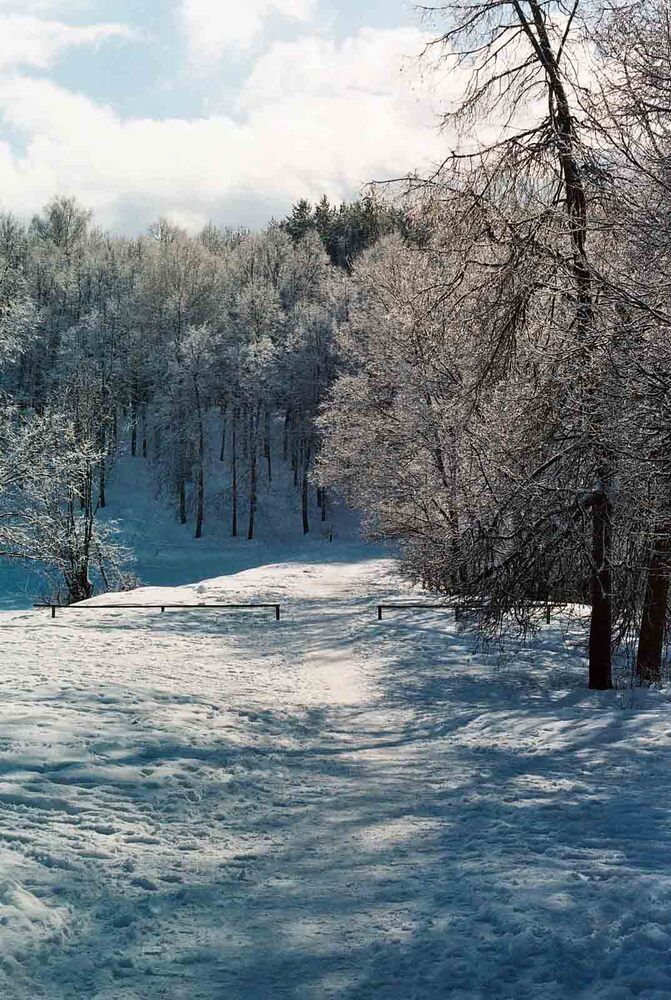 Photograph by Игорь Пшеничников