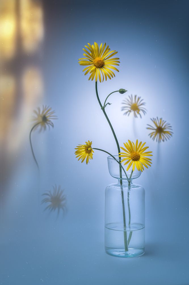 Photograph by Ольга Яр