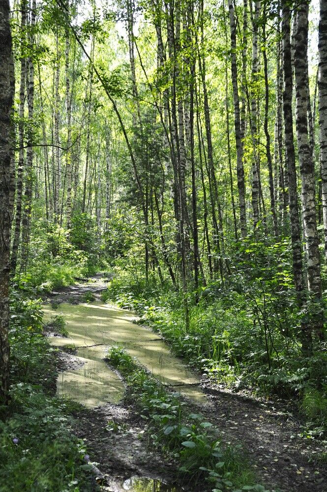 Photograph by Ольга Струкалина