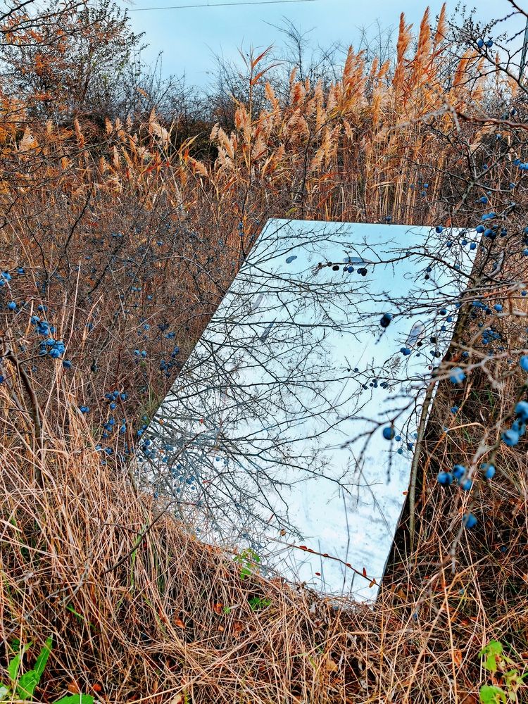 Зазеркалье в полях