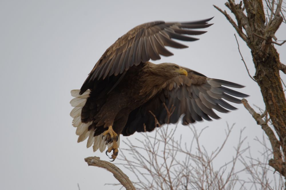 Photograph by Антон Громов