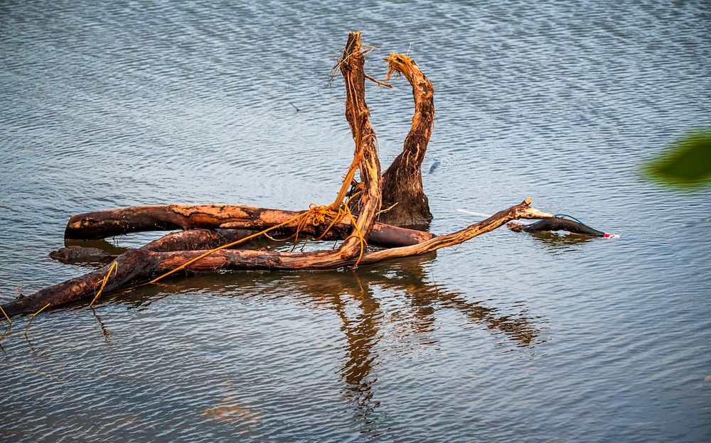 Photograph by Thomas Dunston