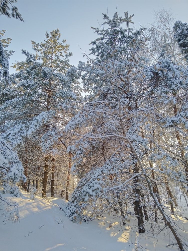Photograph by Ольга Чернова
