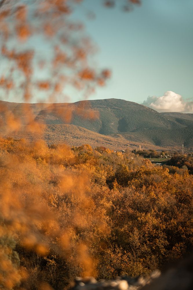 Photograph by Артём Гуцалюк