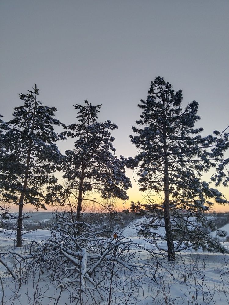 Photograph by Ольга Чернова