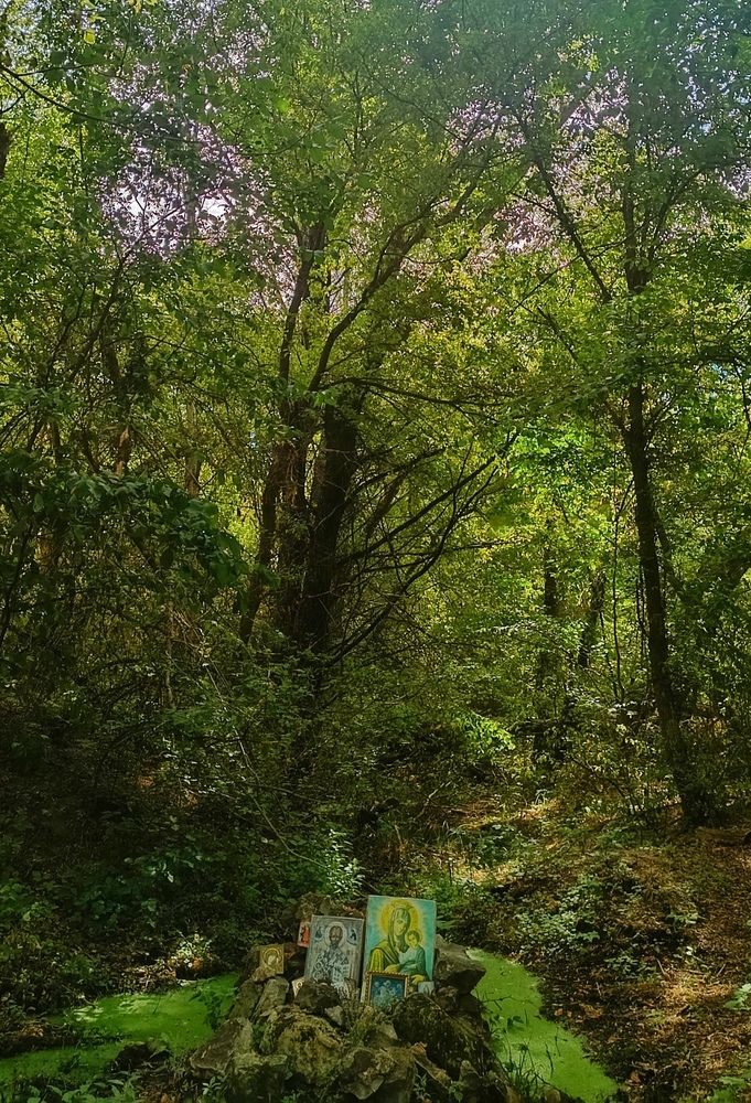 Фотография автора Светлана Анатольевна Чернышова