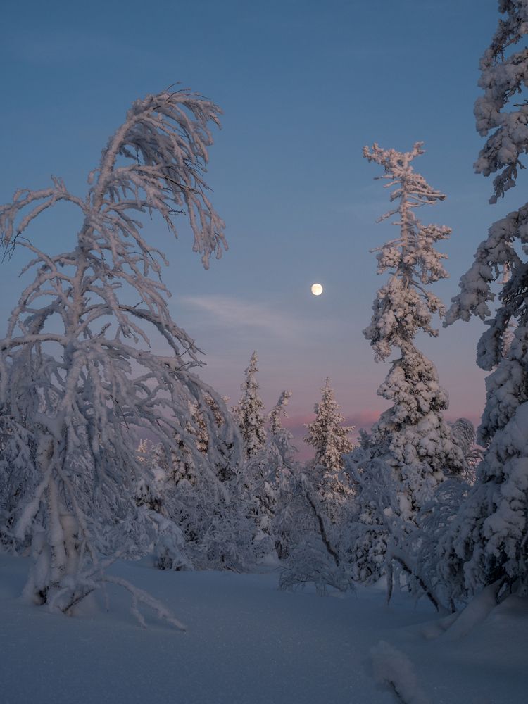 Photograph by Шейко Анна