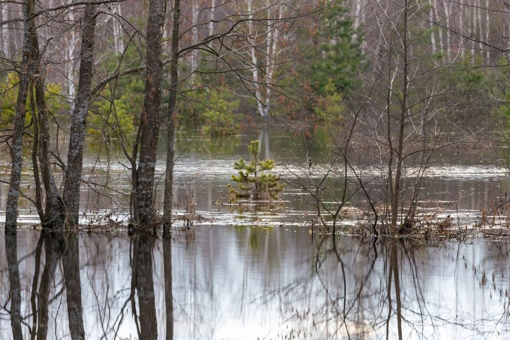 Photograph by Илья Сторожко