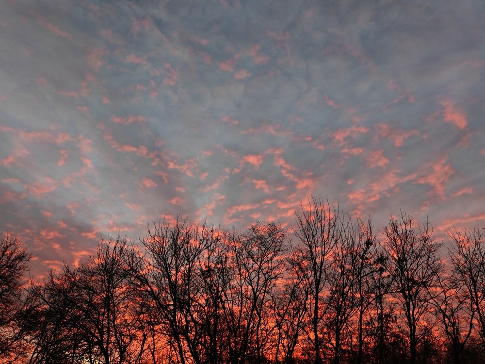 Зефирный рассвет