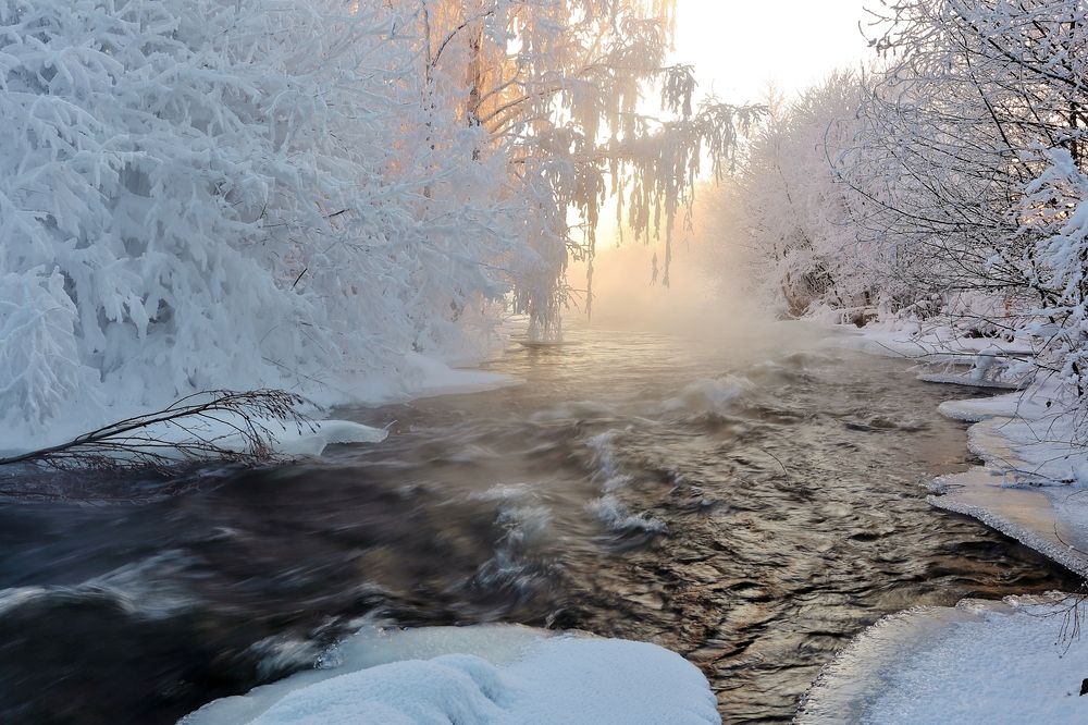 Photograph by Николай Раппу