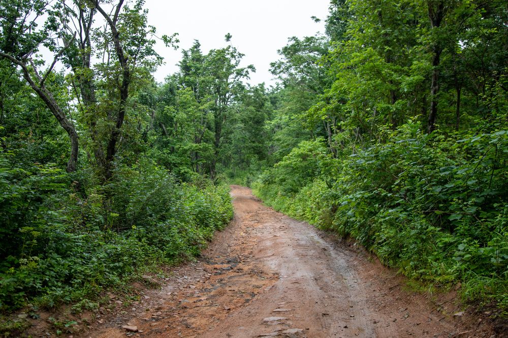 Photograph by Илья Сторожко