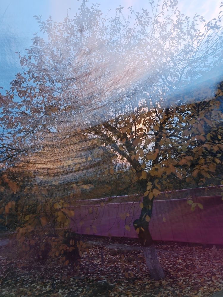 Фотография автора OXANA MARSOVA