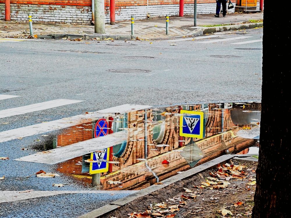 Фотография автора OXANA MARSOVA