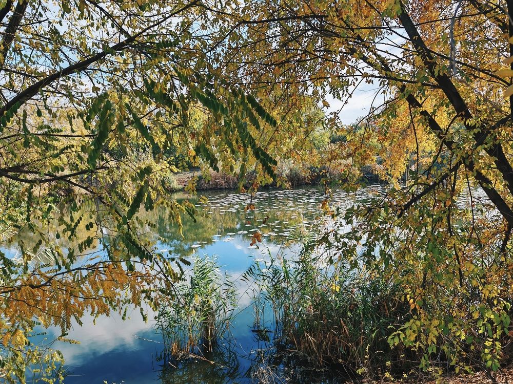 Фотография автора OXANA MARSOVA