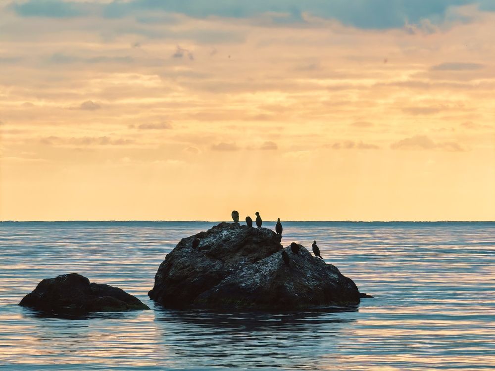 Фотография автора OXANA MARSOVA