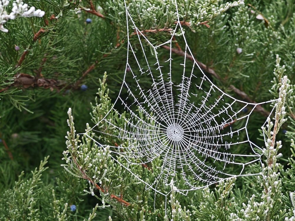 Фотография автора OXANA MARSOVA