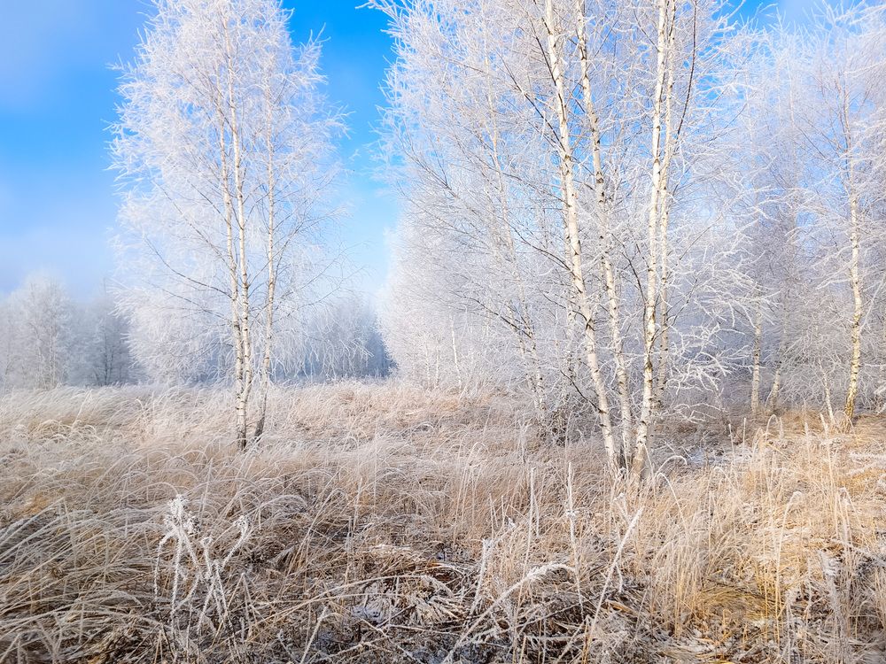 Photograph by Кондрашова Светлана