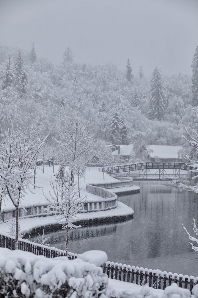 Photograph by Ольга Черепанова