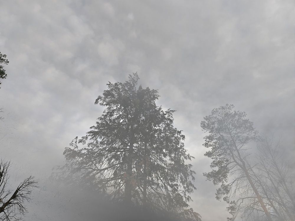 Фотография автора OXANA MARSOVA