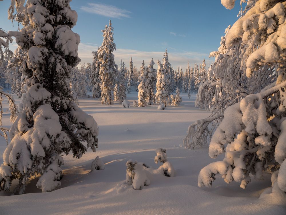 Photograph by Шейко Анна