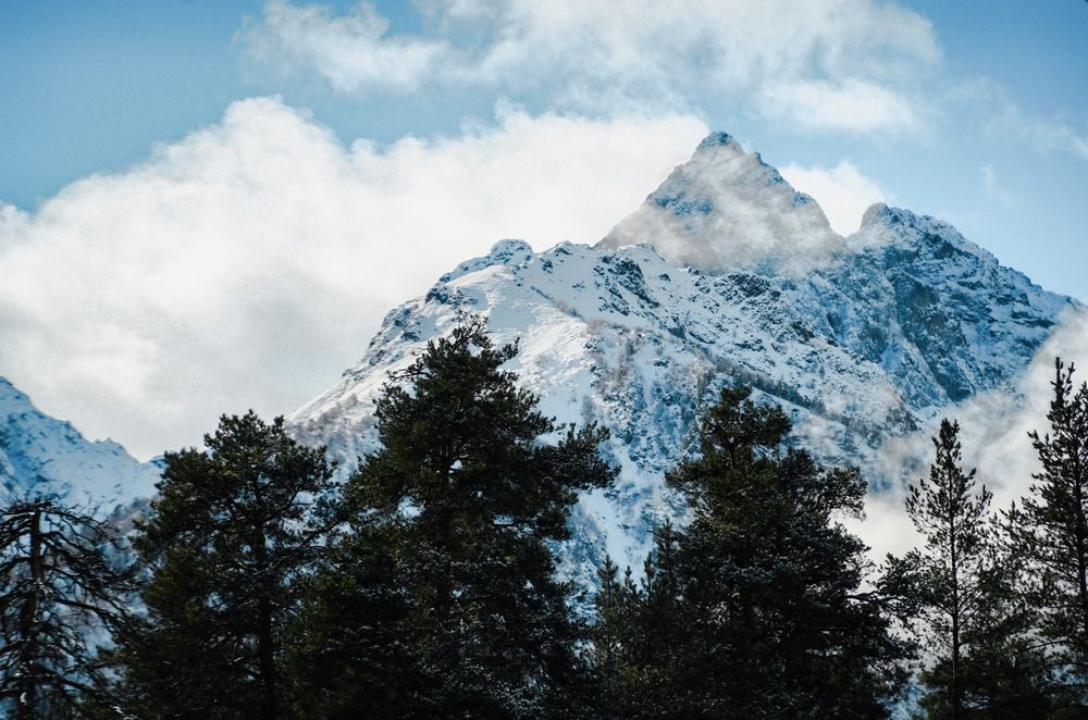 Фотография автора Анастасия Зайчуковская