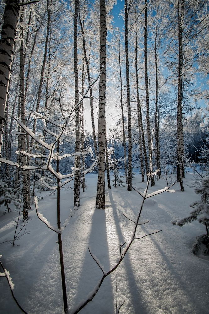 Photograph by Денис Винокуров
