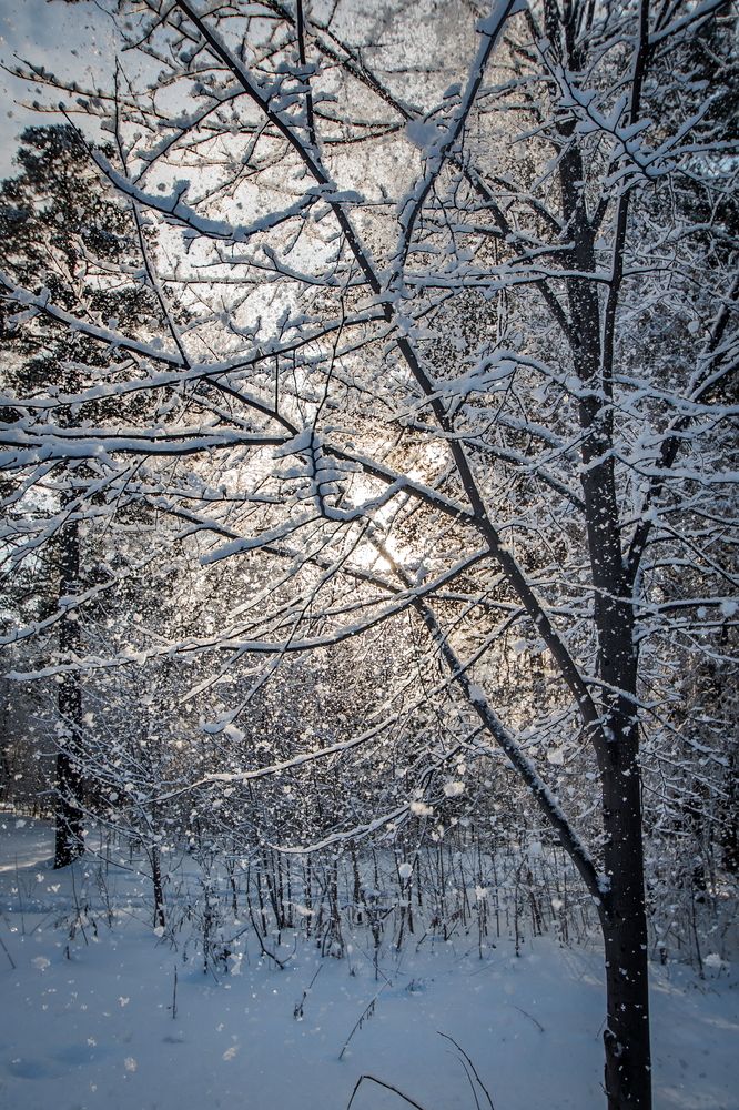 Photograph by Денис Винокуров