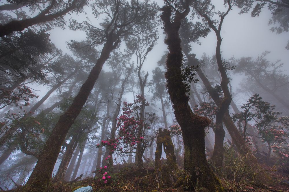 Photograph by Михаил