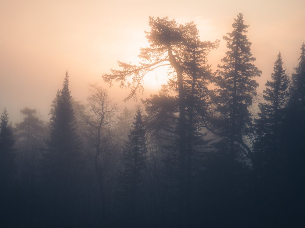 Фотография автора Вячеслав Бобин